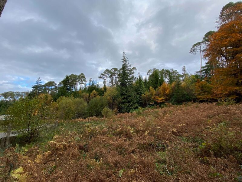 Duncraig Nursery, Plockton, HLD for Sale