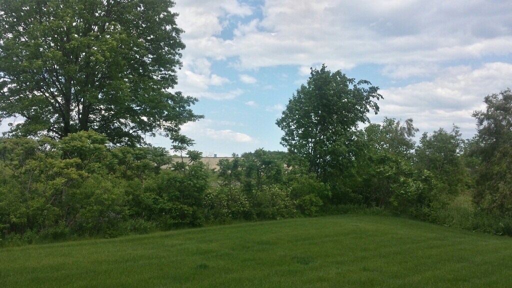 39050 Colorado Ave, Avon, OH for Sale