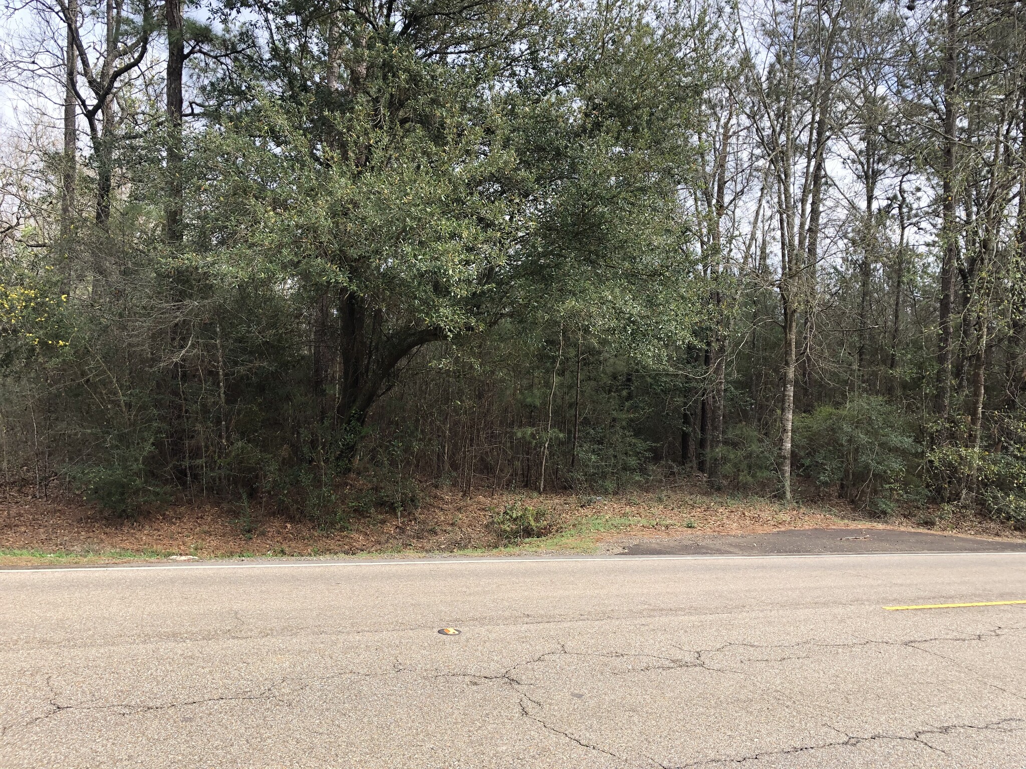 Hwy 190 and Hwy 22, Mandeville, LA for Rent