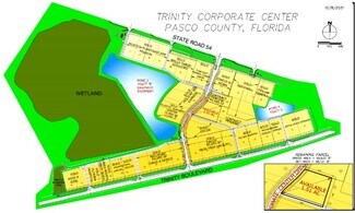 Trinity, FL Commercial Land - 2120 Corporate Center Dr Trinity, FL Commercial Land - 2120 Corporate Center Dr