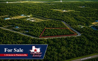 Plantersville, TX Residential Land - 9102 Blue Lake dr