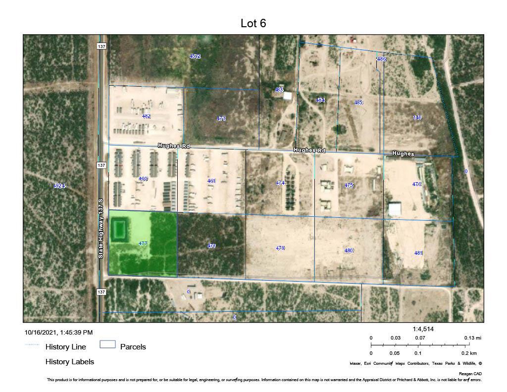 0 Hwy 137, Big Lake, TX for Sale