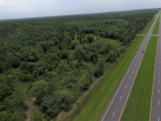 Grand Ridge, FL Agricultural - 00 Wester Rd