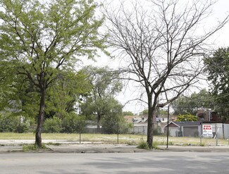 Chicago, IL Commercial Land - 100 E 75th St