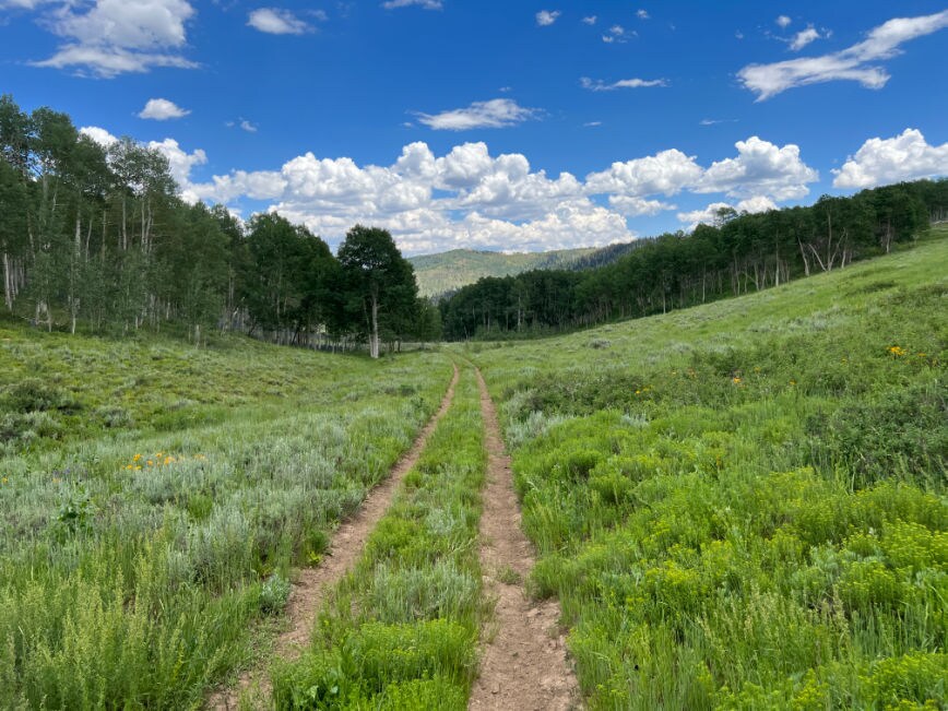Skyline Drive, Fairview, UT for Sale