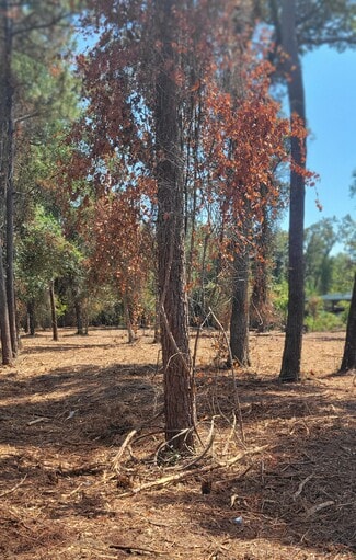 Crawfordville, FL Commercial - Crawfordville Highway