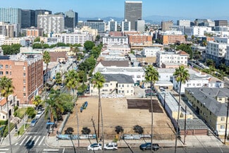 Los Angeles, CA Commercial - 854 S Normandie Ave