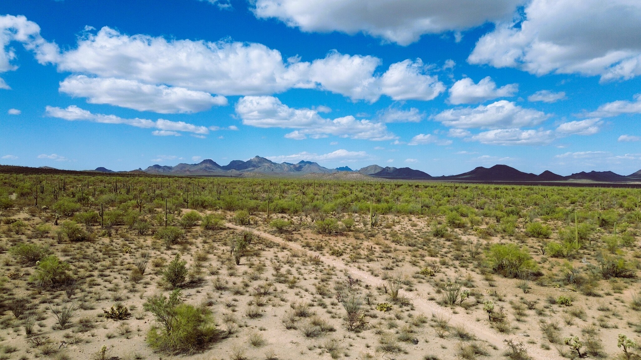 20801 W Manville Rd, Marana, AZ for Sale