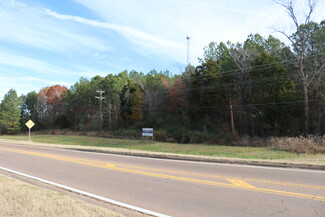 Holly Springs, MS Commercial - 7 Highway 7