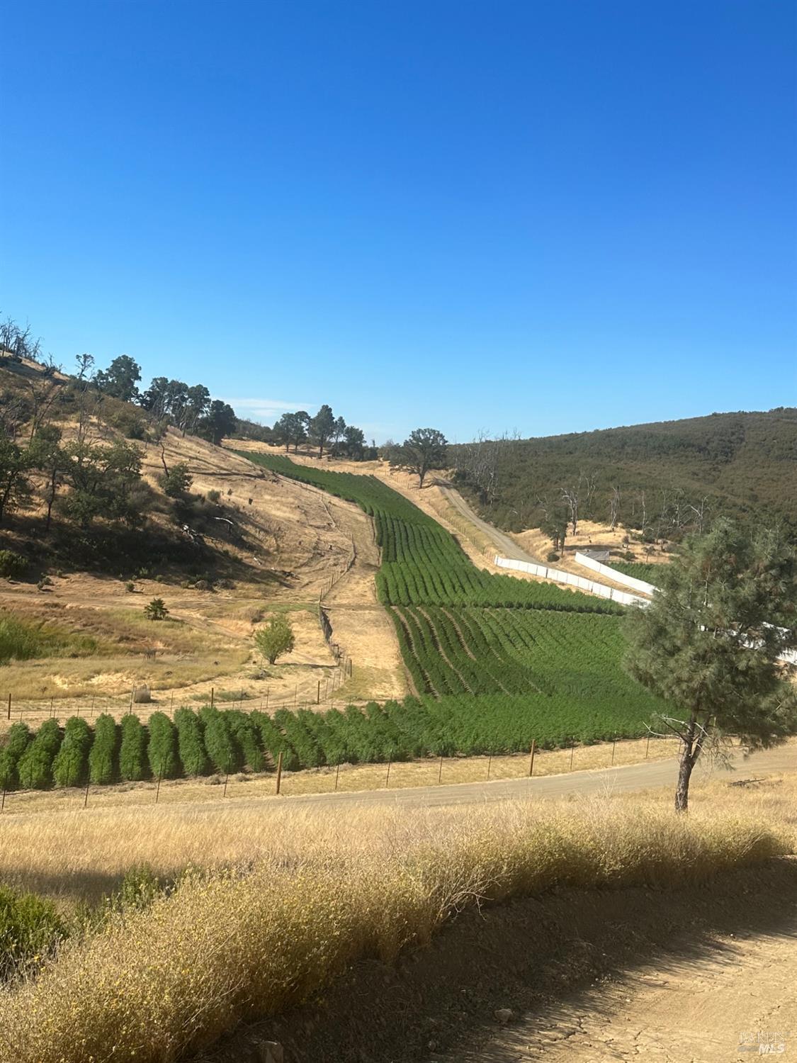 21506 Morgan Valley Rd, Lower Lake, CA for Sale