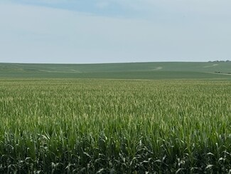 Lynnville, IA Agricultural - E 152nd S st @ S 84th Ave E