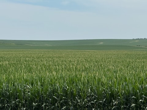E 152nd S st @ S 84th Ave E, Lynnville, IA for Sale