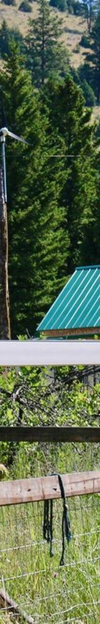 338 Bear Gulch Rd, Drummond, MT for Sale