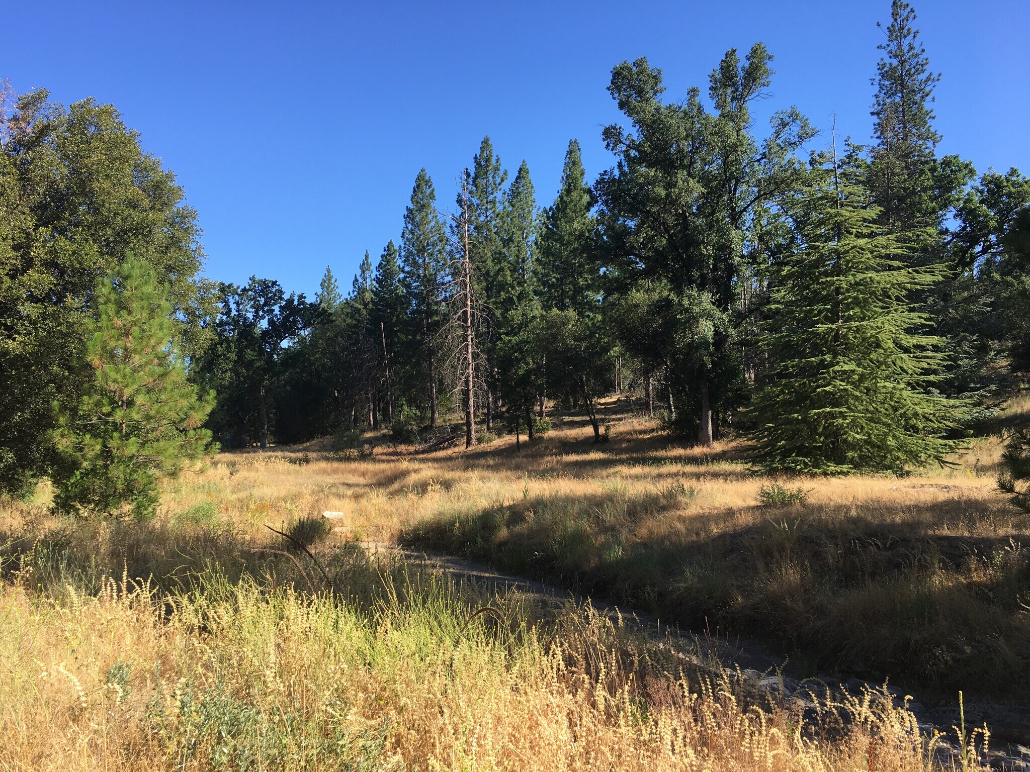 20020 Old Hwy 120, Groveland, CA for Sale