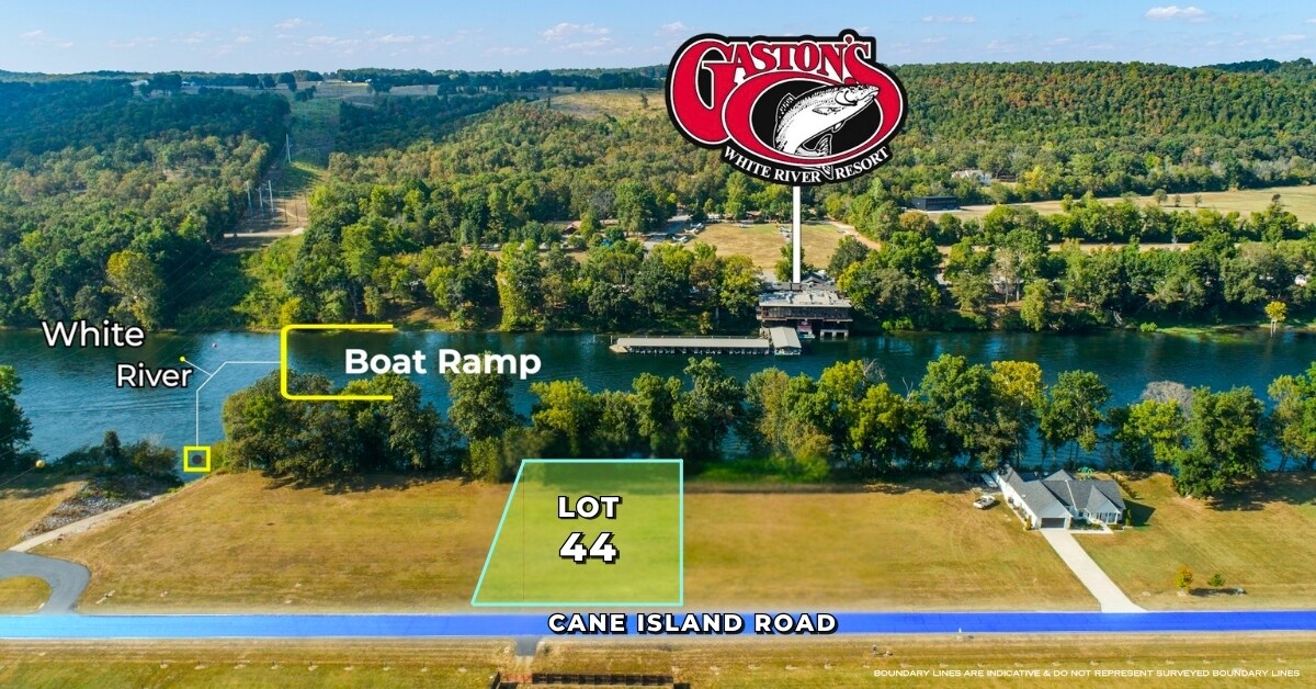 1180 Cane Island Road, Flippin, AR for Sale