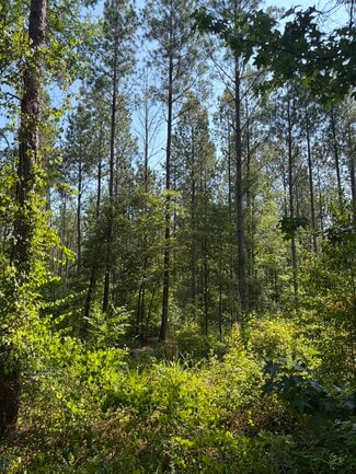 Mount Gilead, NC Residential - 00 Everett Chappell Rd Mount Gilead, NC Residential - 00 Everett Chappell Rd