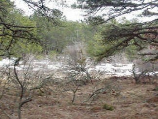 Wellfleet, MA Residential Land - 349 Old King's Hwy