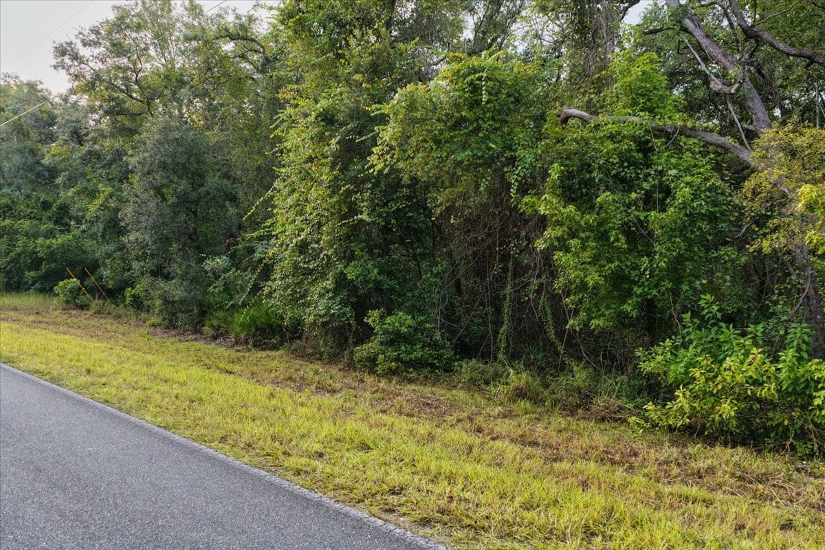 Unassigned Northeast 206th Avenue @ NE 711th Street, Old Town, FL for Sale