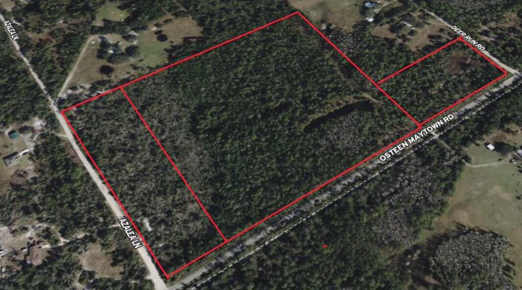 800 Maytown rd, Osteen, FL for Sale