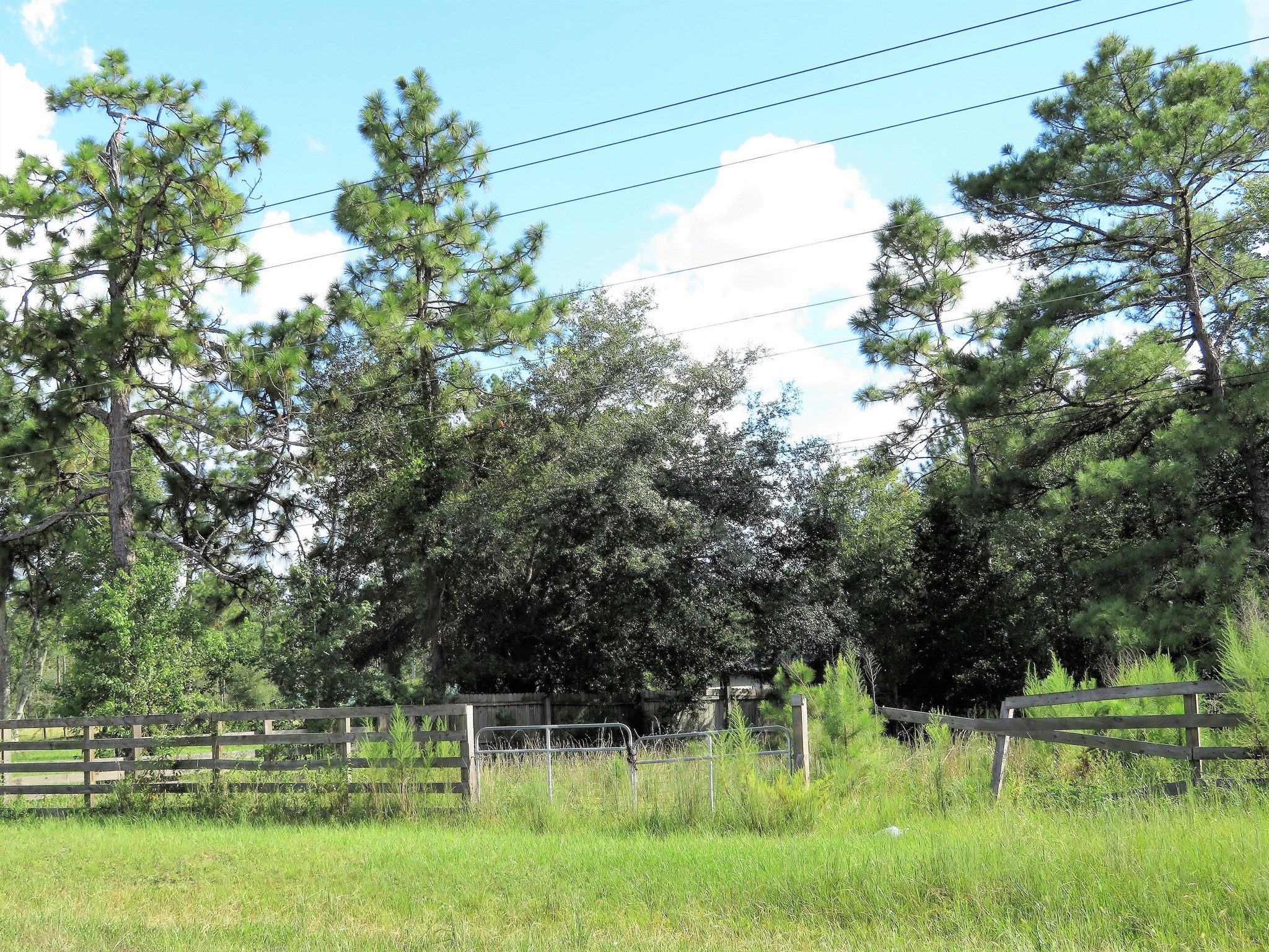 5471 Co Rd 218, Middleburg, FL for Sale