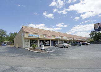Hudson, FL Retail - 10341-10355 State Road 52