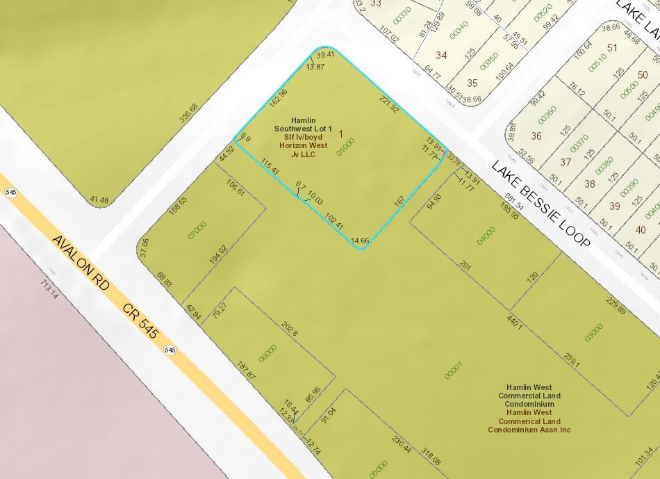 Lake Hamlin Trl, Winter Garden, FL for Sale