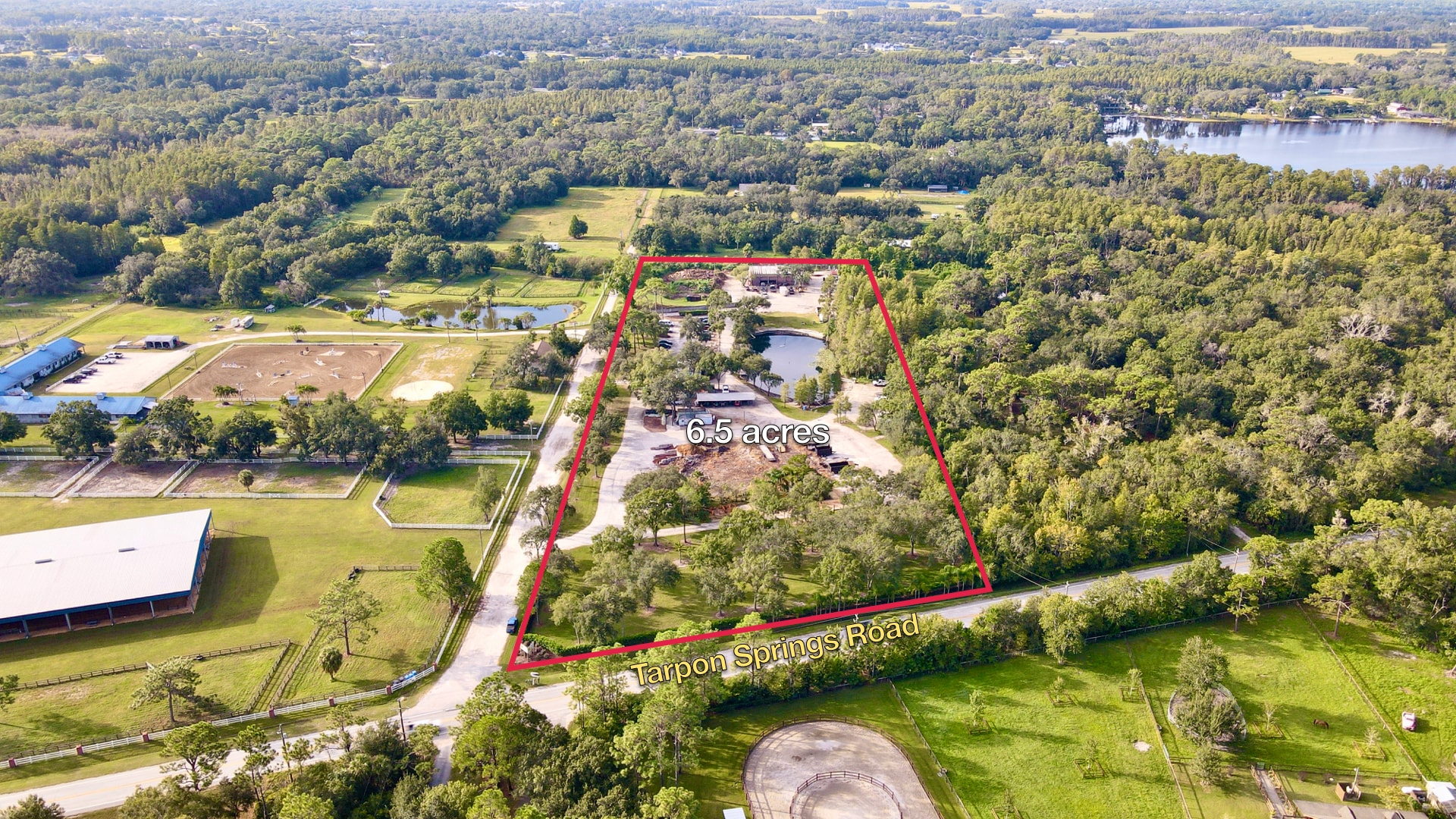 11602 Tarpon Springs Rd, Odessa, FL for Sale