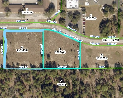 Kadri, Spring Hill, FL for Sale