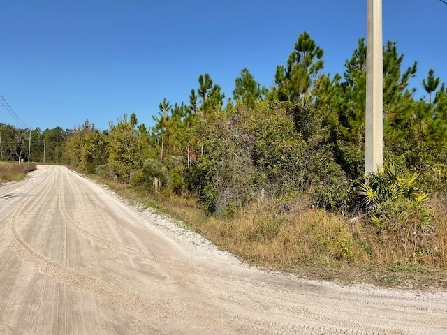 14163 Arnold Rhoden Road, Sanderson, FL for Sale