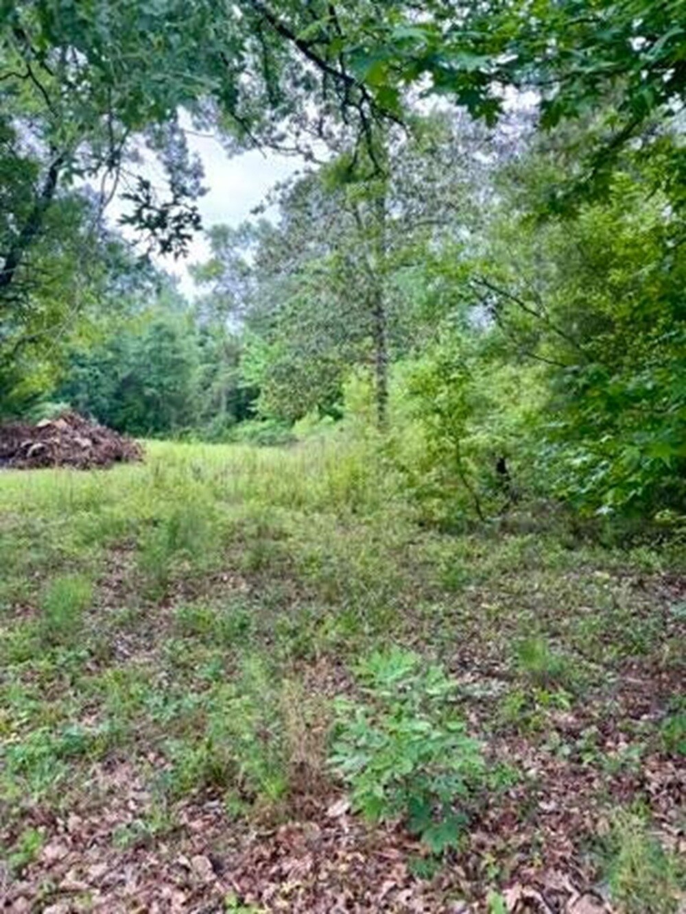 TBD Possum Trot ln, Pitkin, LA for Sale