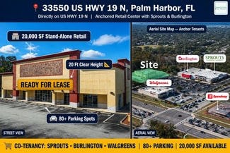 Palm Harbor, FL Retail - 33550 US Highway 19 N