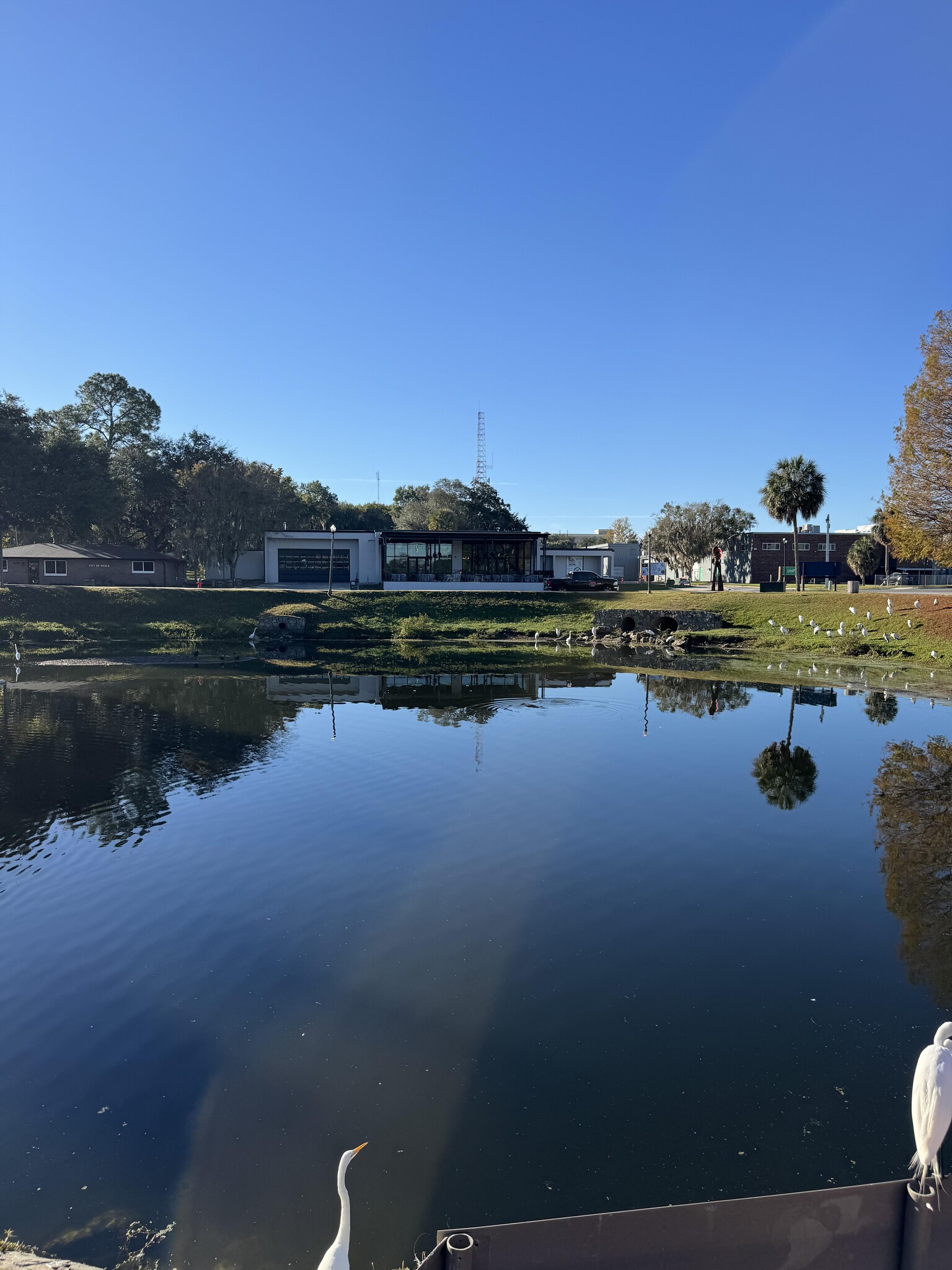 235 NE Watula Ave, Ocala, FL for Sale