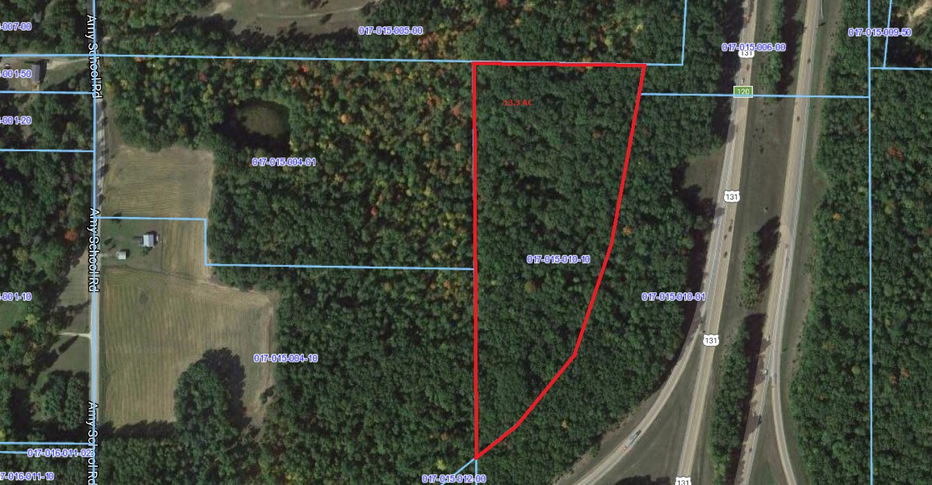 US 131 @ 45, Howard City, MI for Sale