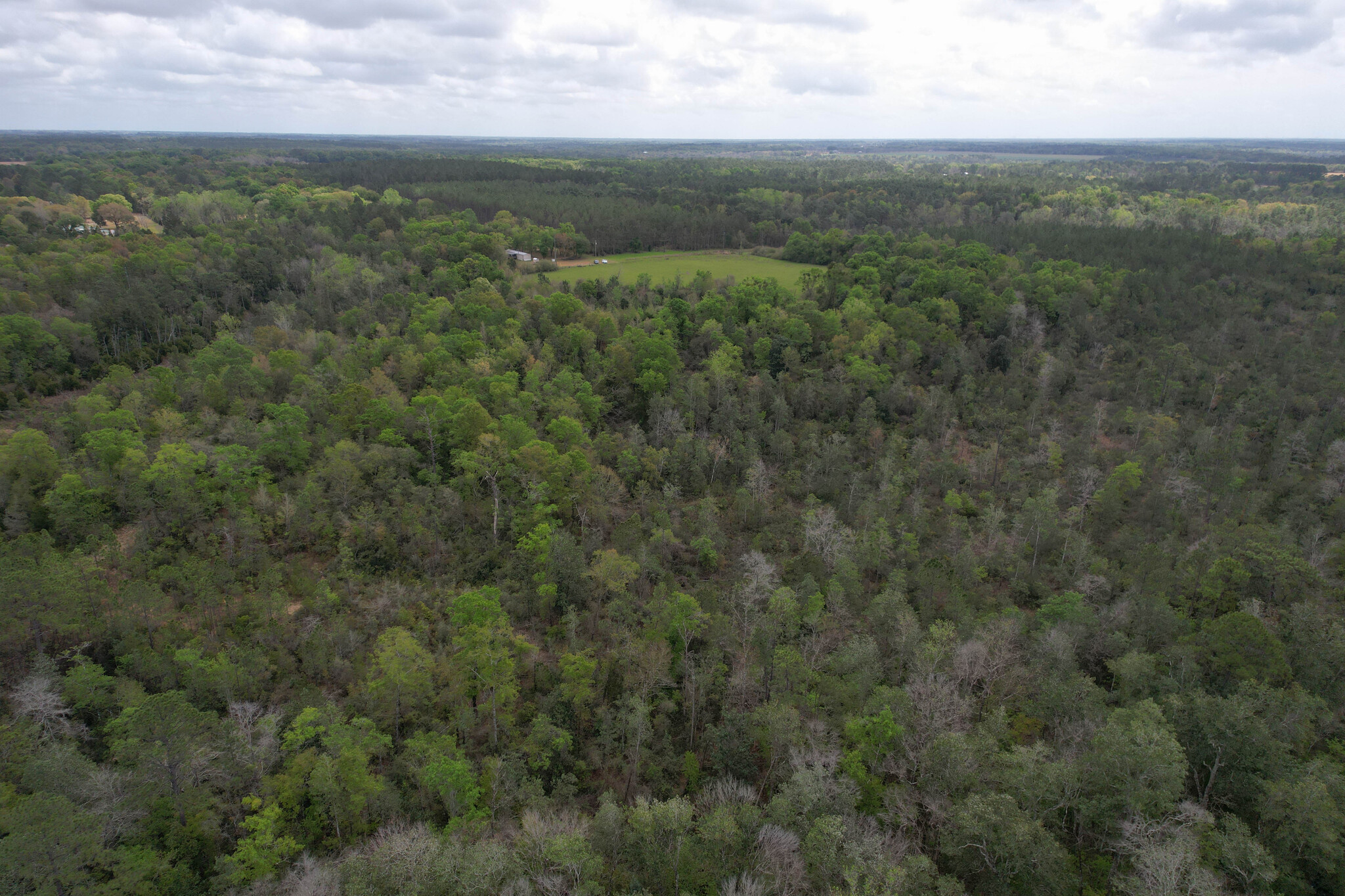 12960 County Road 48, Silverhill, AL for Sale