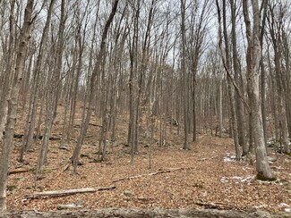 East Stroudsburg, PA Residential Land - 45017 Marshalls Creek Road, East Stroudsburg, PA Residential Land - 45017 Marshalls Creek Road,