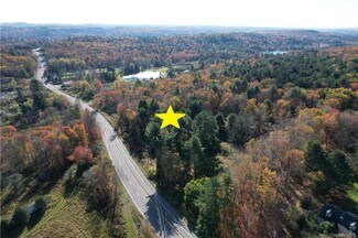 Bethel, NY Commercial Land - 1195 State Route 17B