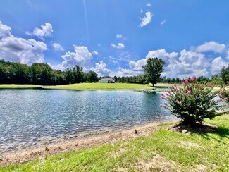 Buena Vista, TN Flex - 3375 Rowland Mill Rd