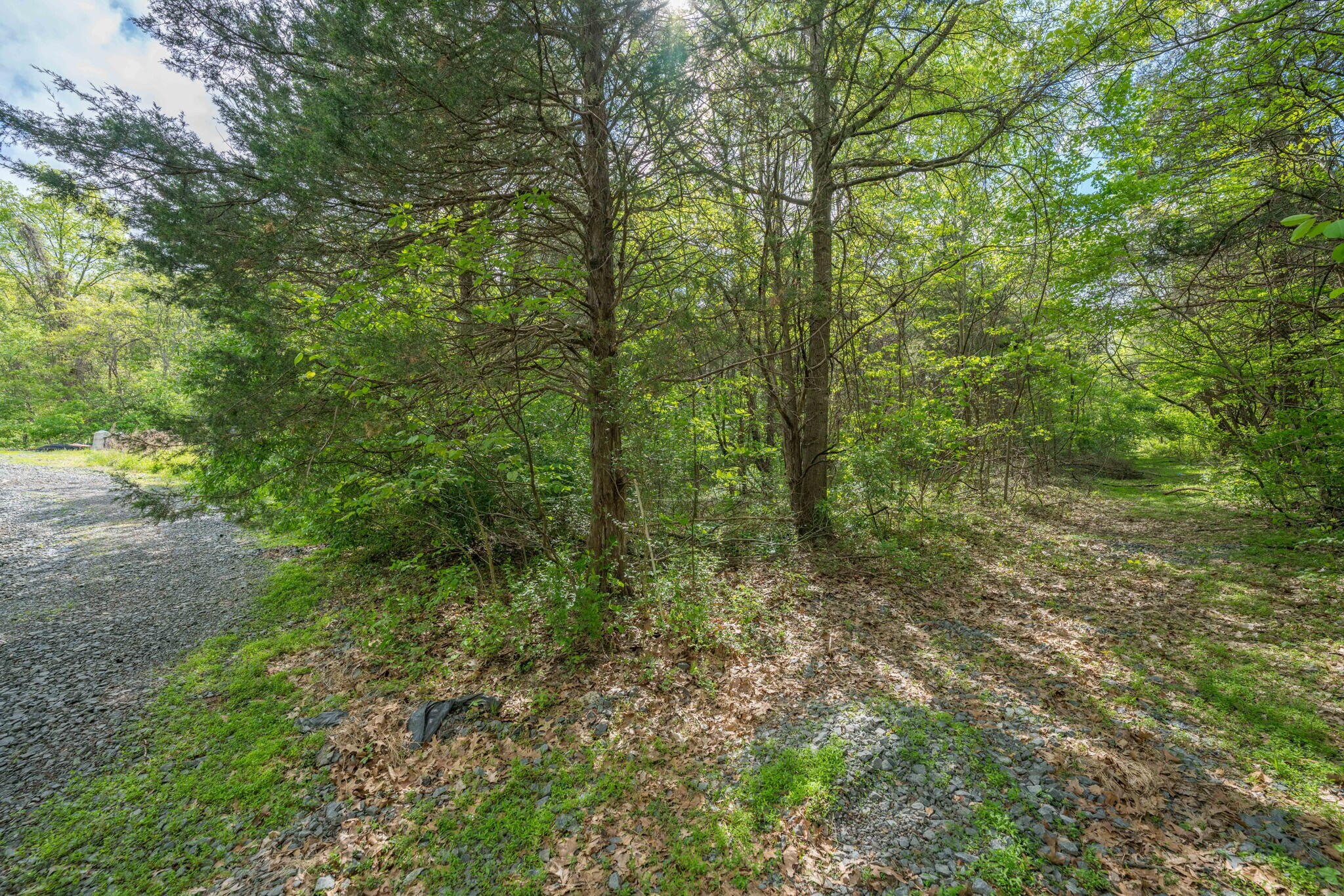 , Remington, VA for Sale