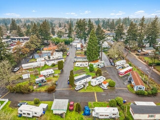 Tall Firs and Lantern Lane