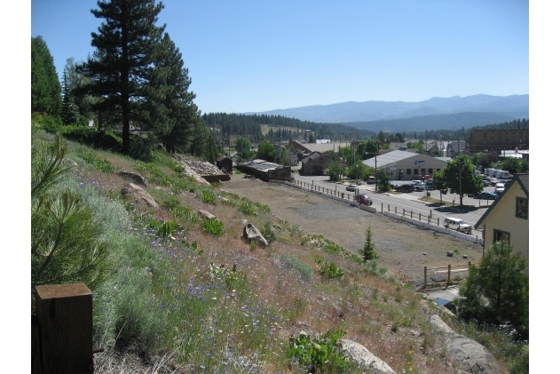 10060 Jibboom St, Truckee, CA for Sale