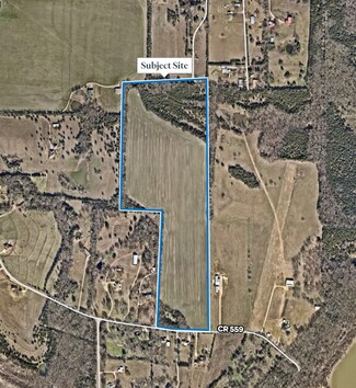 Princeton, TX Agricultural Land - Co Rd. 561 Princeton TX