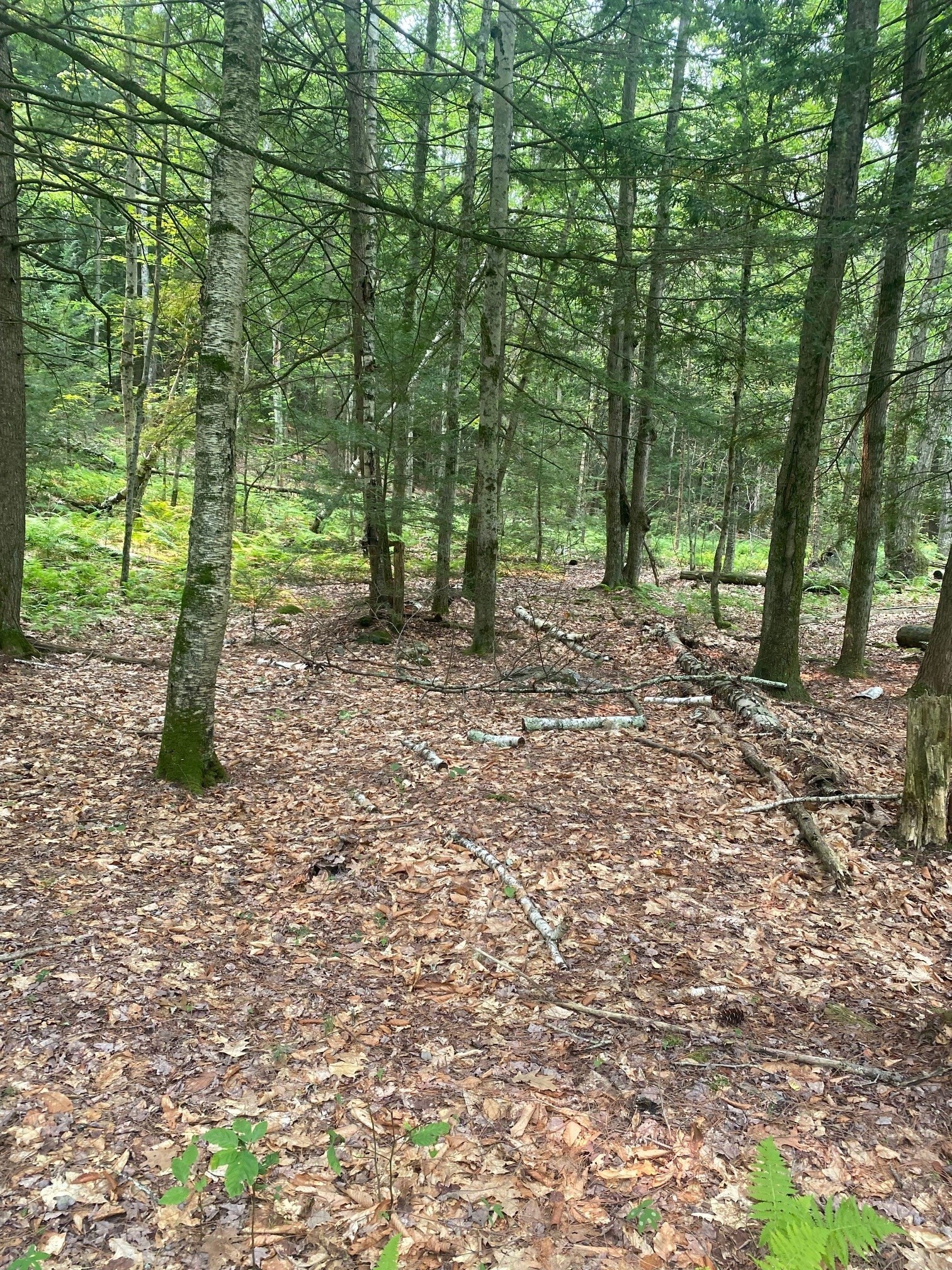 Daggett Hill (TM R16-3) Rd, Westmoreland, NH for Sale
