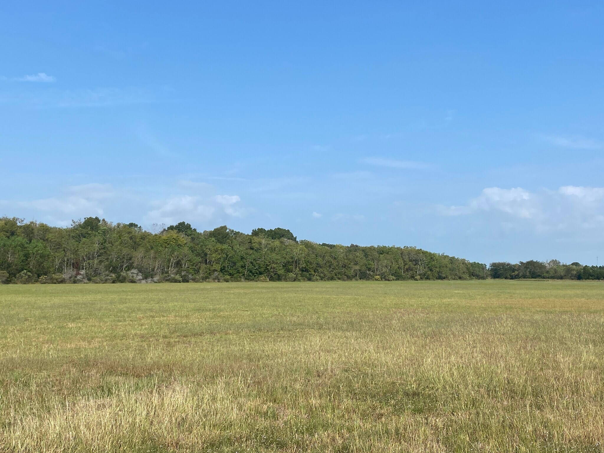 19.376 Acres off Walden @ IH 10, Beaumont, TX for Sale