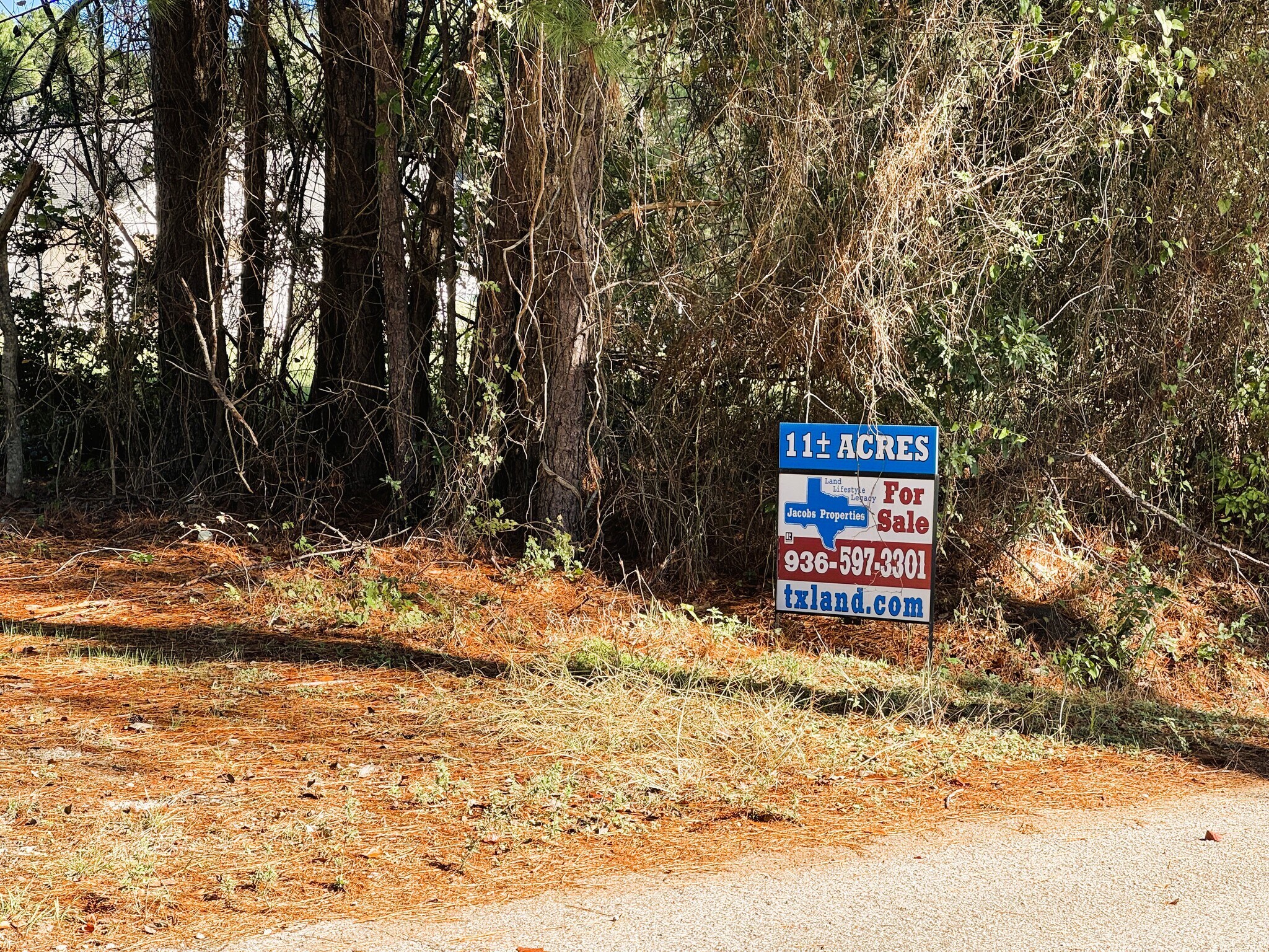 11 AC West Danville Road, Willis, TX for Sale