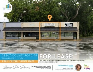 Zephyrhills, FL Retail - 38363 County Road 54 Rd