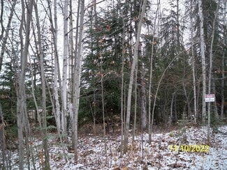 Fairbanks, AK Commercial - Chief William Drive
