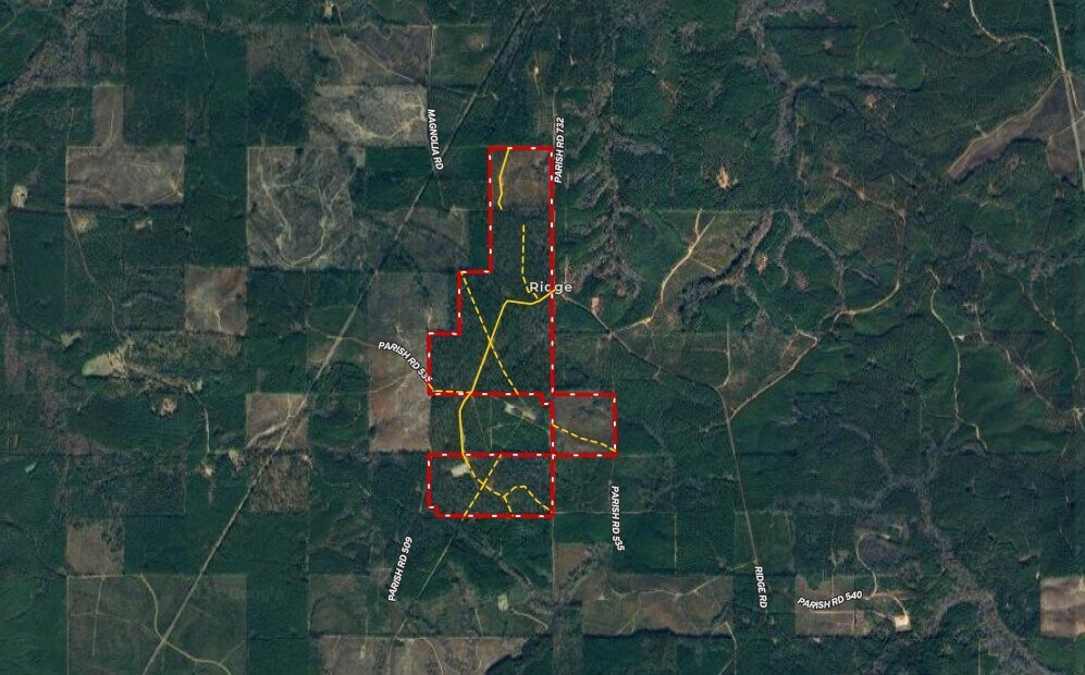 Castor Land, Castor, LA for Sale