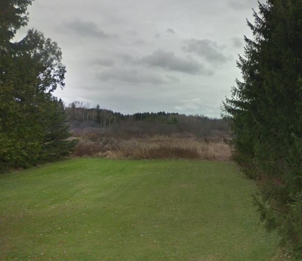 Freeville Rd, Dryden, NY for Sale