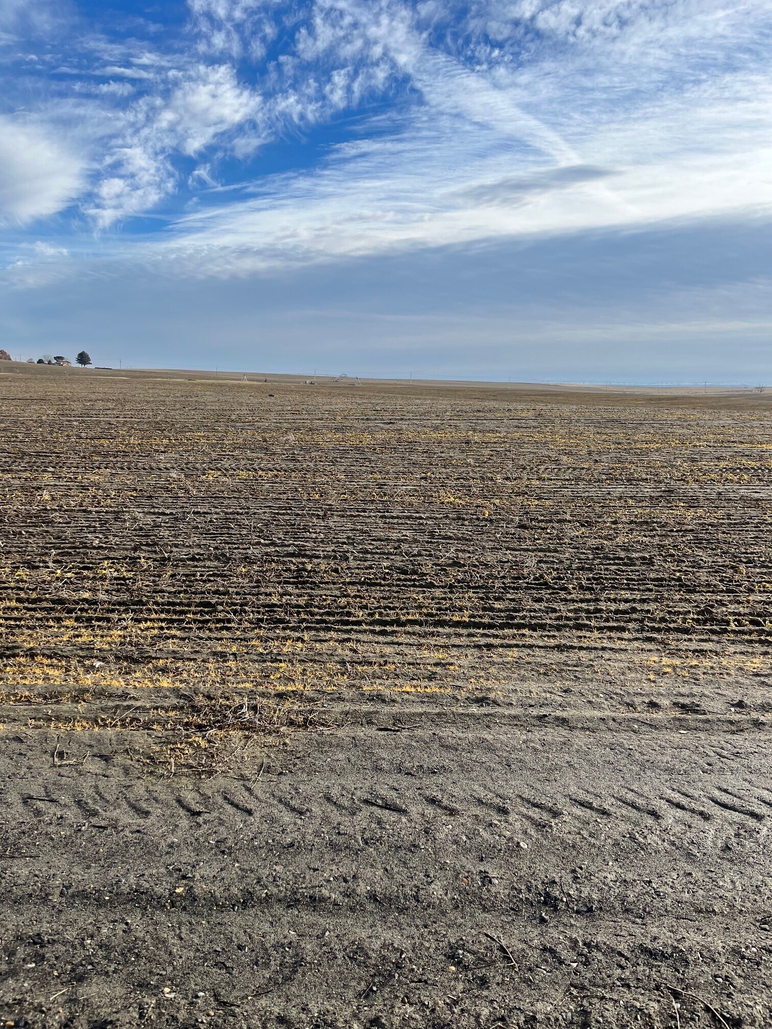 TBD Capitol Ave, Pasco, WA for Sale