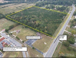 Decatur, AL Commercial Land - 0 Spring Ave